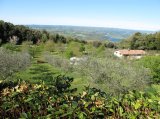 10_civitello_del_lago